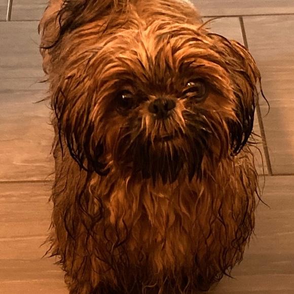 💖💖@Gidgets_Goods is live Mondays at 5:30pm CST!💖💖 - Picture 4 of 5